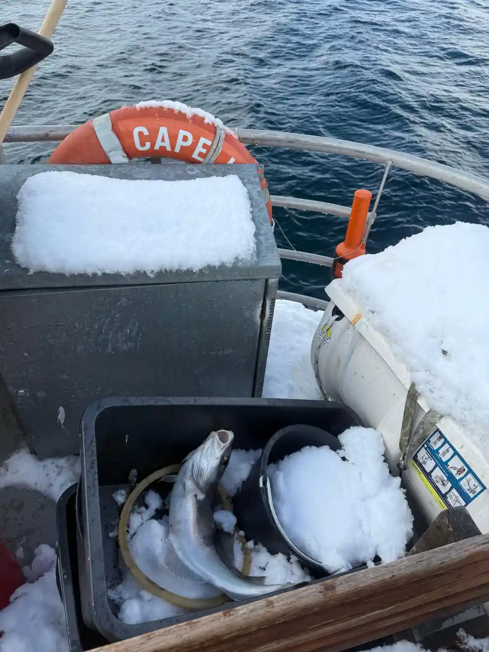 Fish catch with ice in black container on boat