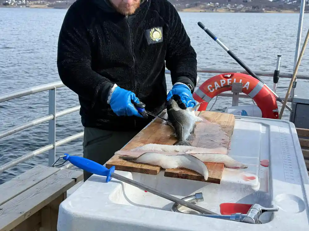Fisherman cleaning fish on boat near shoreline