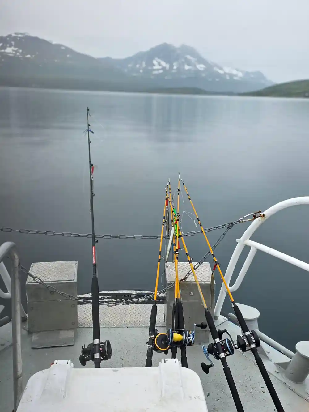 Fishing rods on boat with mountain lake in background
