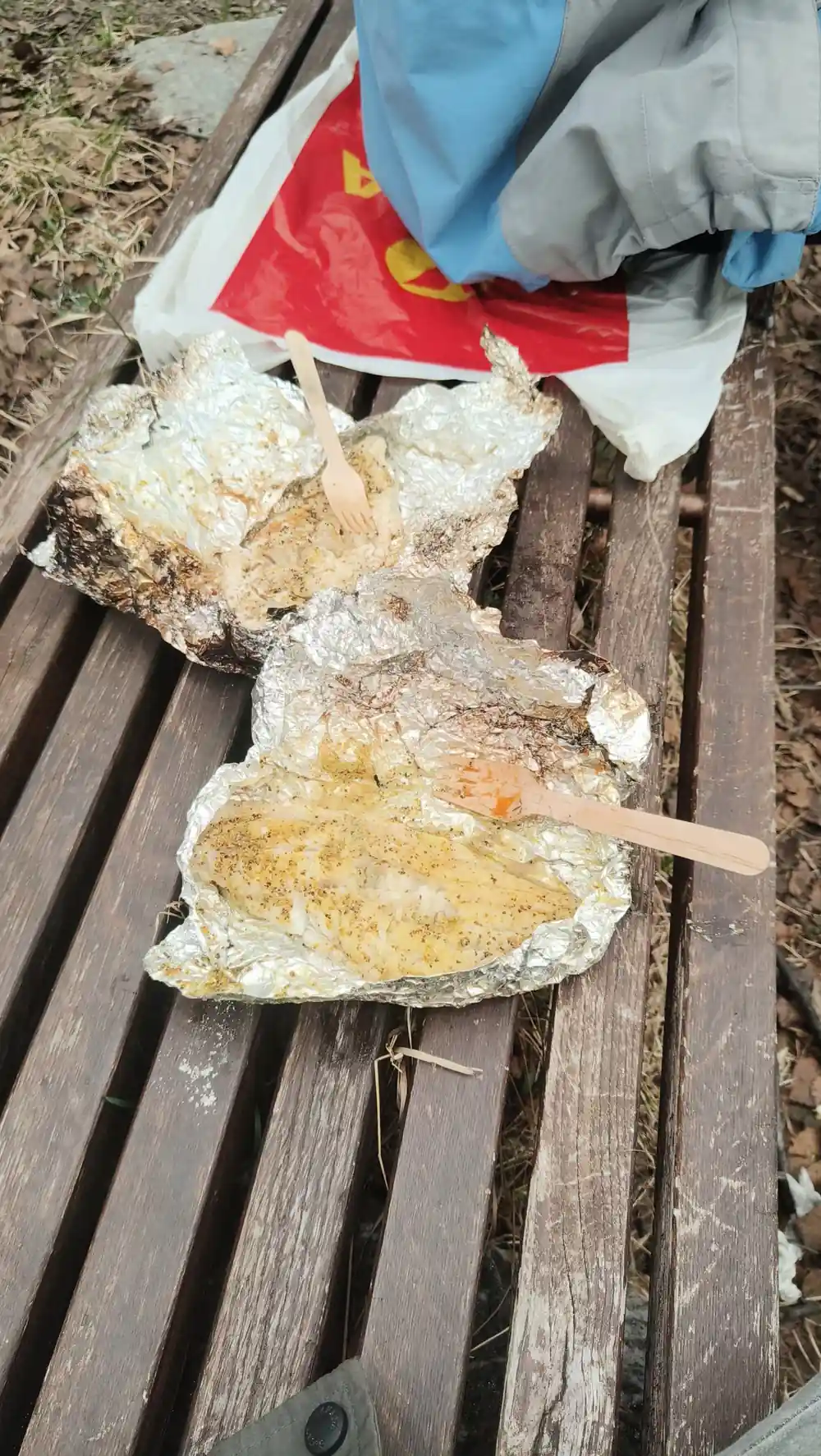 Flatfish specimens on wooden deck with red bag