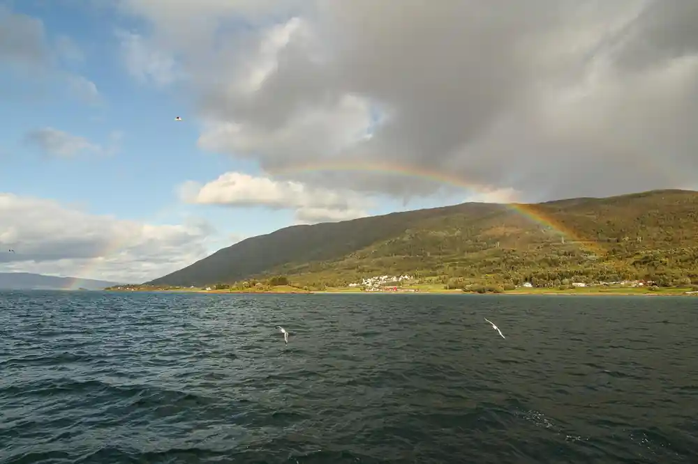 Green hillside meeting calm water with rainbow light