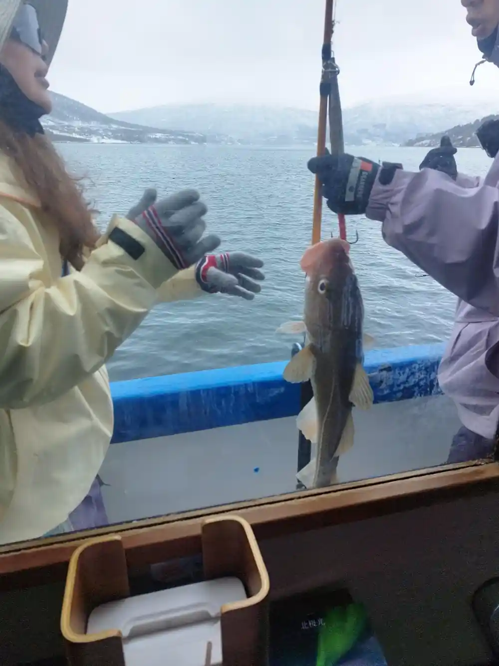 People holding cod fish on boat with fjord background