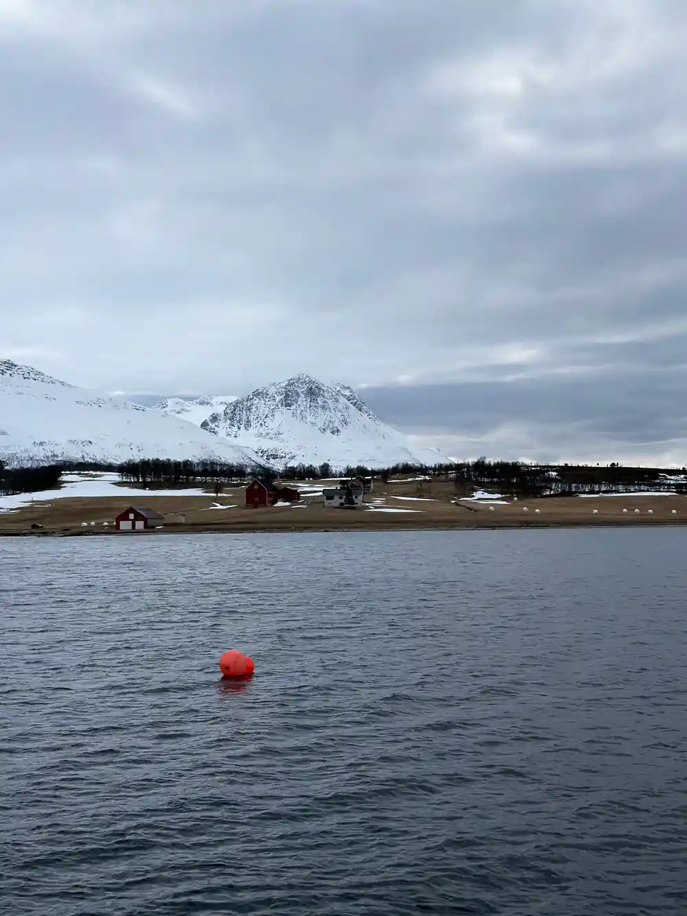 Snow mountain across water with red buoy foreground