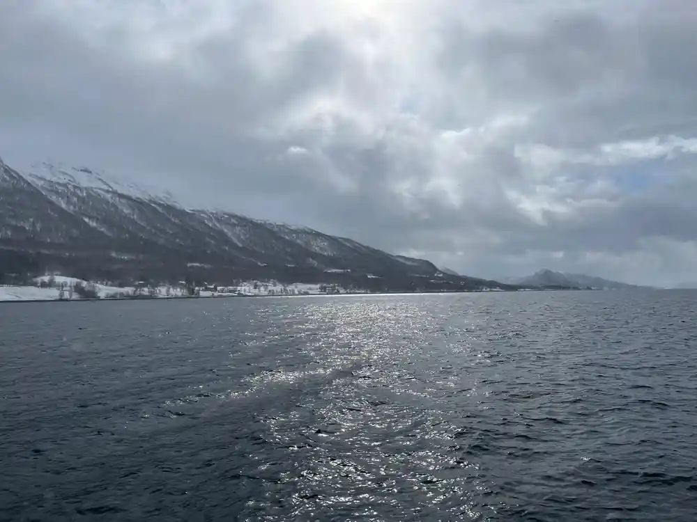 Snowy mountains along coastline with sparkling water